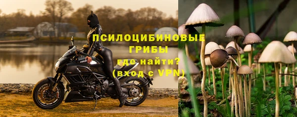 дживик Ростов