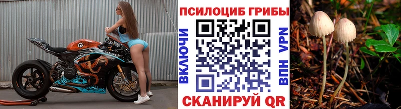 это клад Шиханы Галлюциногенные грибы ЛСД